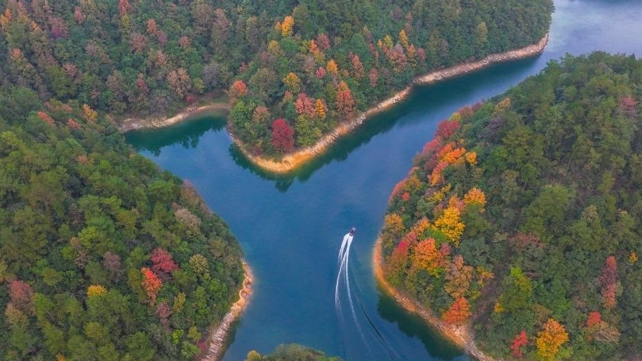 浙江淳安：千岛湖岛屿色彩斑斓景色如画